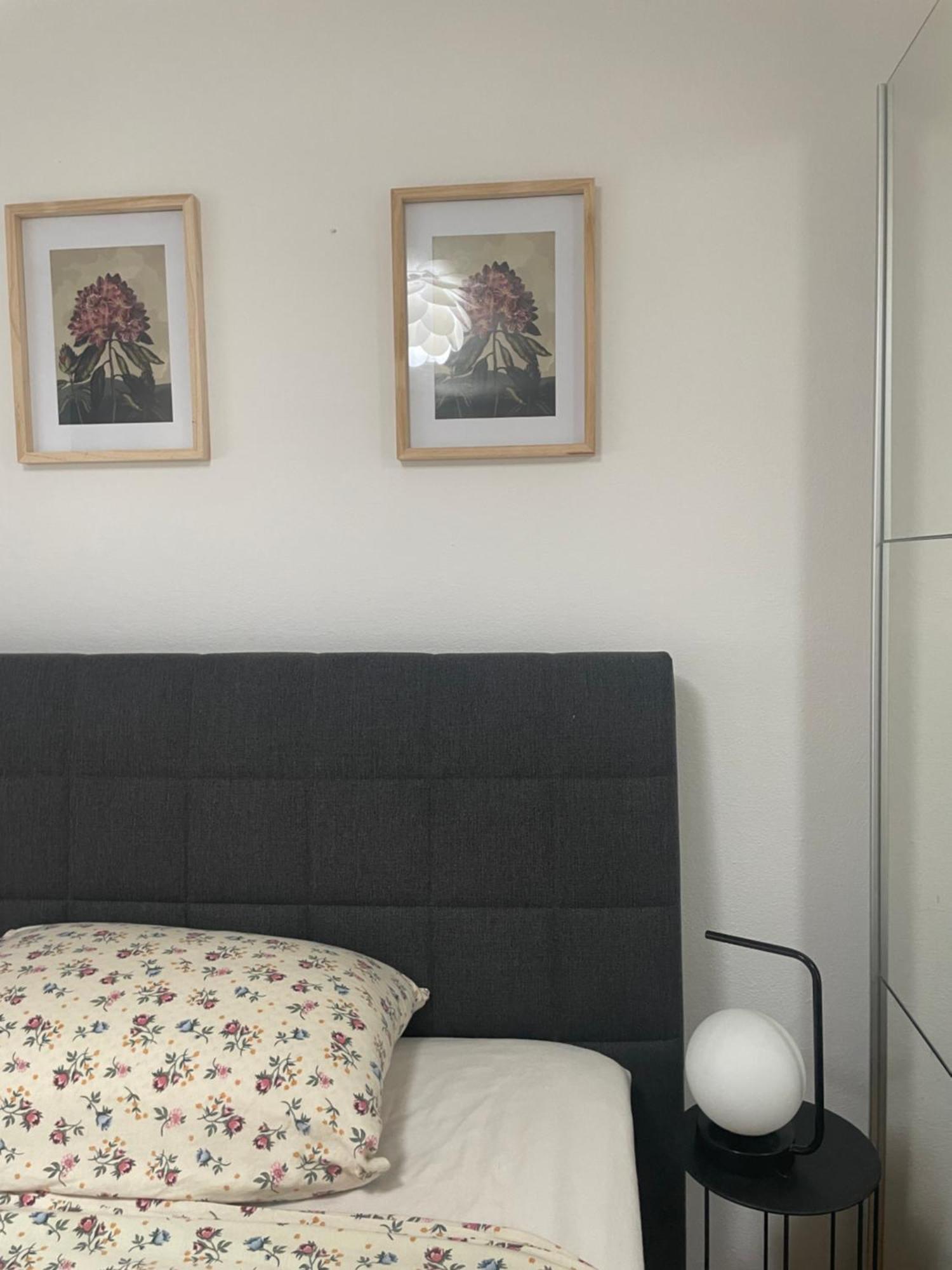 Apartman S M4 With The View Kali Dış mekan fotoğraf